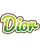 Dior golfing logo