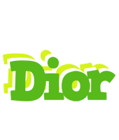 Dior picnic logo