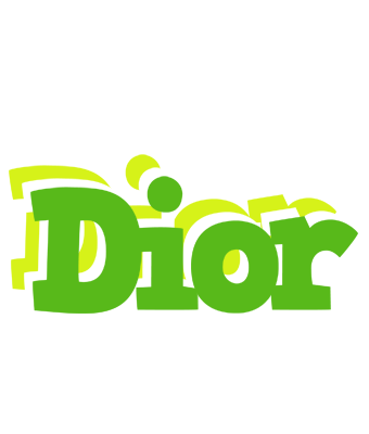 Dior picnic logo
