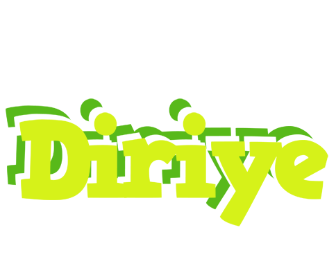 Diriye citrus logo