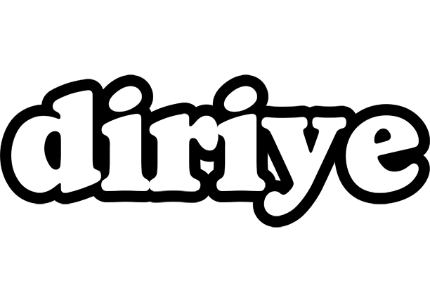 Diriye panda logo