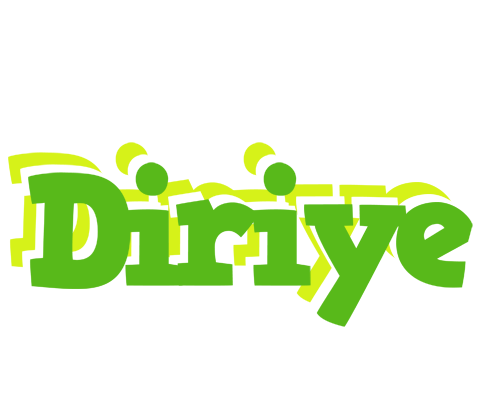 Diriye picnic logo