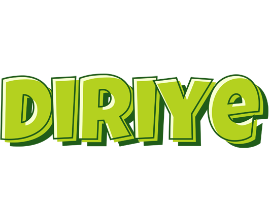 Diriye summer logo