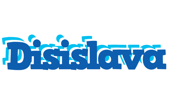 Disislava business logo