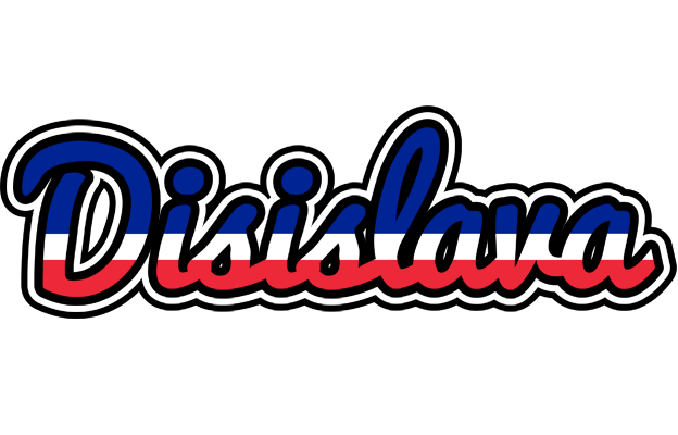 Disislava france logo