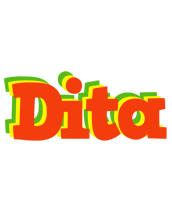 Dita bbq logo