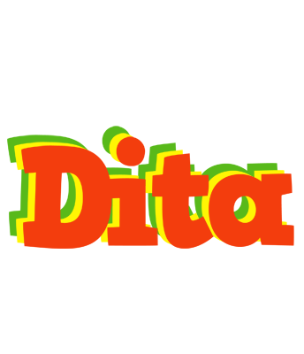 Dita bbq logo