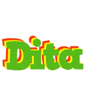Dita crocodile logo