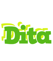 Dita picnic logo