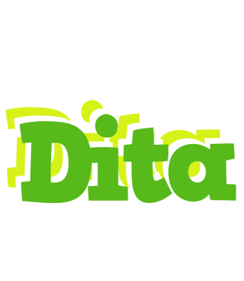 Dita picnic logo