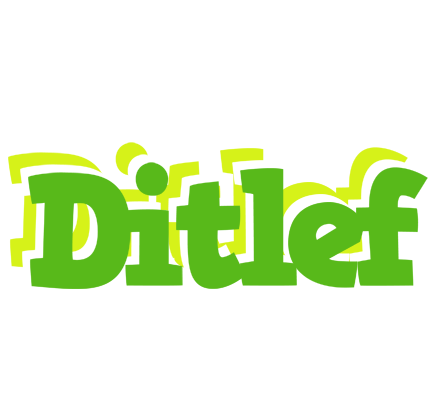 Ditlef picnic logo