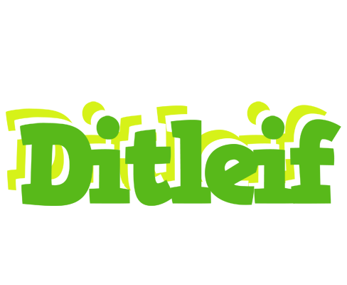 Ditleif picnic logo