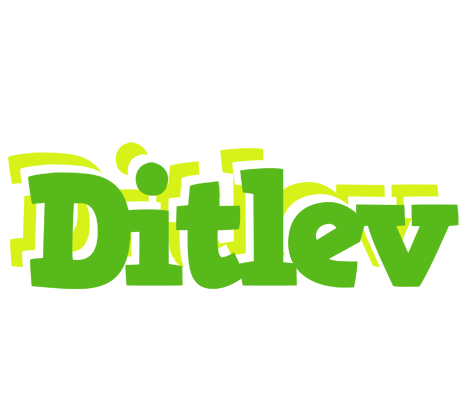 Ditlev picnic logo