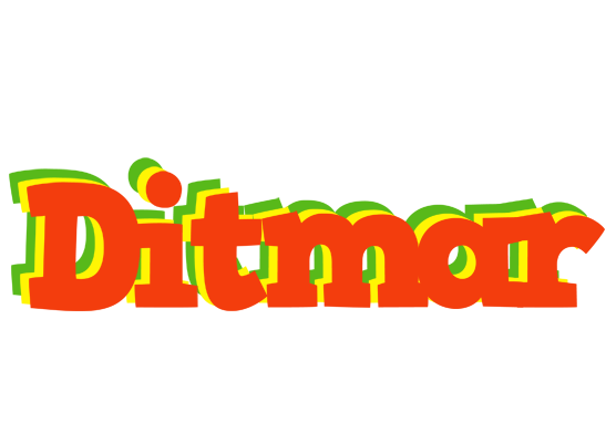 Ditmar bbq logo
