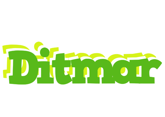 Ditmar picnic logo