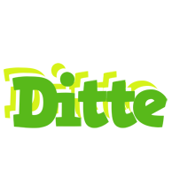 Ditte picnic logo
