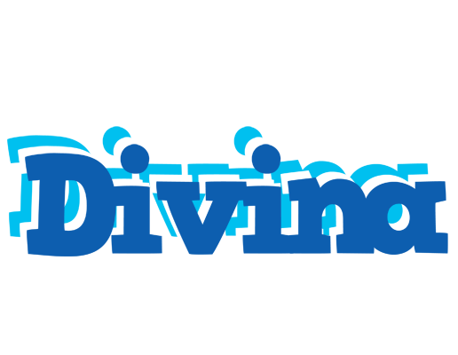 Divina business logo