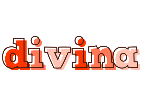 Divina paint logo