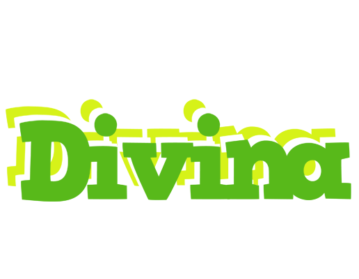 Divina picnic logo