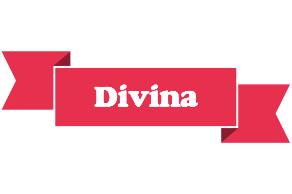 Divina sale logo
