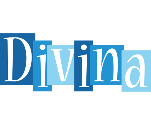 Divina winter logo