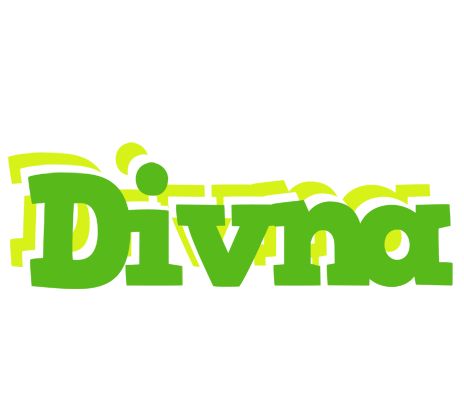 Divna picnic logo