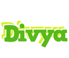 Divya picnic logo