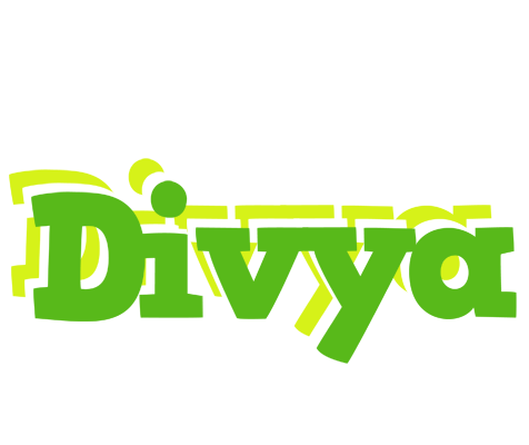 Divya picnic logo