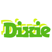 Dixie picnic logo