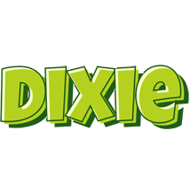 Dixie summer logo