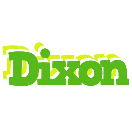 Dixon picnic logo