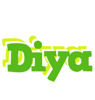 Diya picnic logo