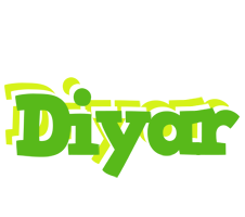 Diyar picnic logo