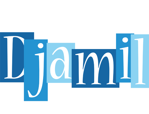 Djamil winter logo