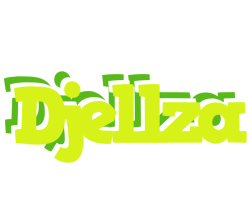 Djellza citrus logo
