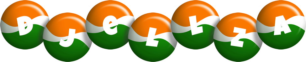 Djellza india logo