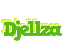 Djellza picnic logo