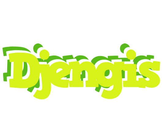 Djengis citrus logo