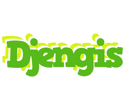 Djengis picnic logo