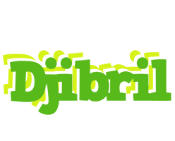 Djibril picnic logo