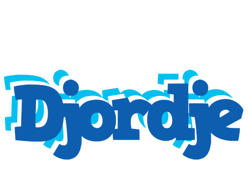 Djordje business logo