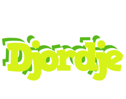 Djordje citrus logo