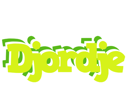 Djordje citrus logo