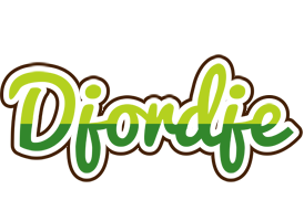 Djordje golfing logo