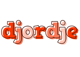 Djordje paint logo