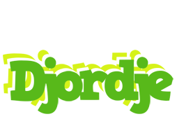 Djordje picnic logo