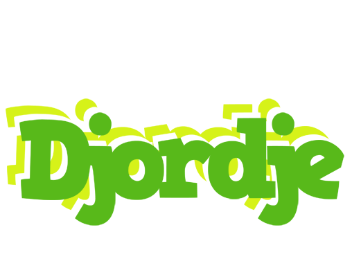 Djordje picnic logo
