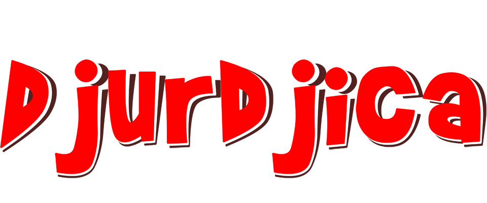 Djurdjica basket logo