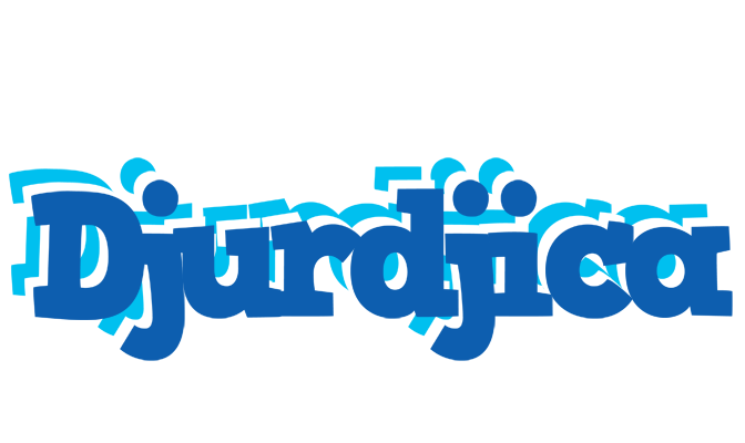 Djurdjica business logo