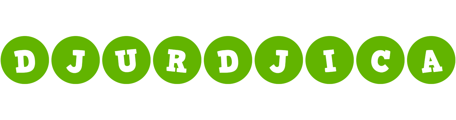 Djurdjica games logo